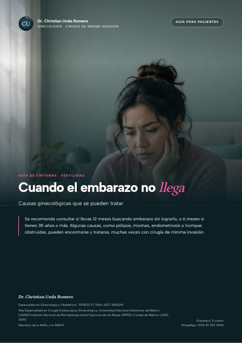 Portada de la guía Cuando el embarazo no llega